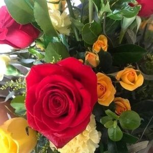 Meet your Posher, Jane